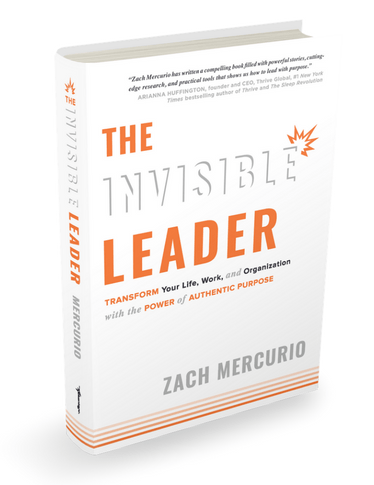 3d book cover of the invisible leader