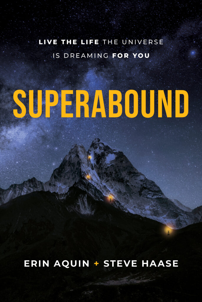 superbound book cover by erin aquin and steve haase